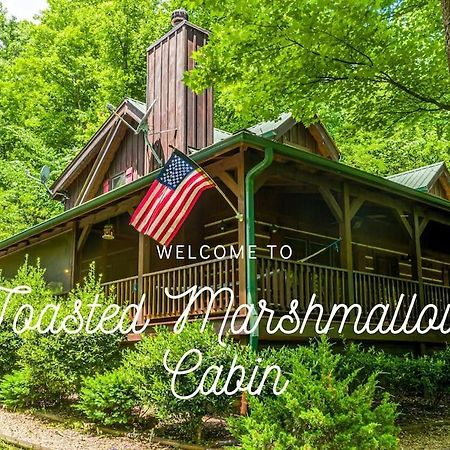 Pigeonforge Cabin Game Roomdog Friendlyhot Tub Pigeon Forge Bagian luar foto