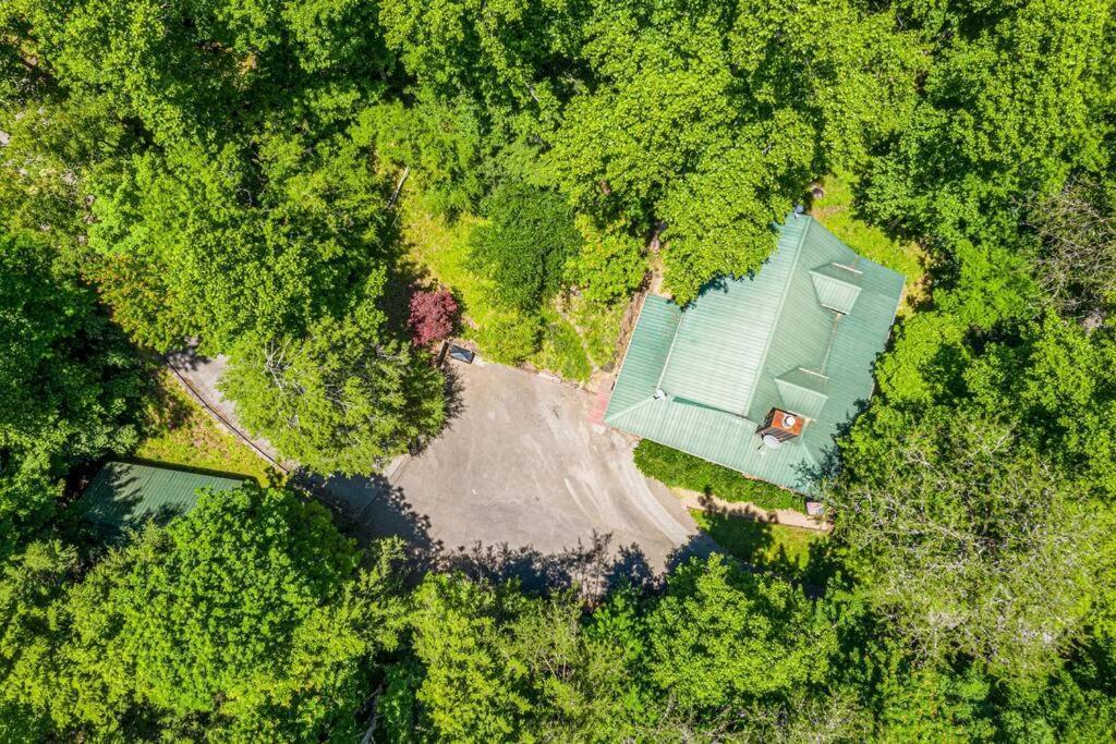 Pigeonforge Cabin Game Roomdog Friendlyhot Tub Pigeon Forge Bagian luar foto